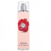 (L) VINCE CAMUTO AMORE 8.0 BODY MIST SP